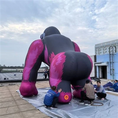 Inflatable Animal-shaped Stage